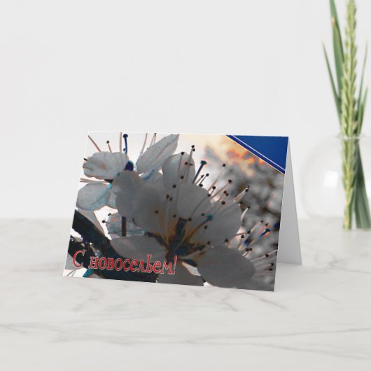 引っ越し祝いパーティーロシアのカードとさくらんぼ花 招待状 (正面)