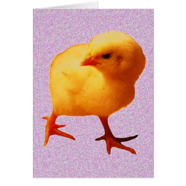 引っ越し策を講じる (正面)