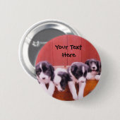 引出しボタンのボーダーコリーの子犬 缶バッジ (正面&裏面)