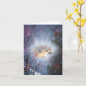 引力の法則 カード (黄色い花)