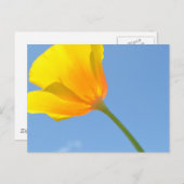 引力の法則 ポストカード (正面/裏面)