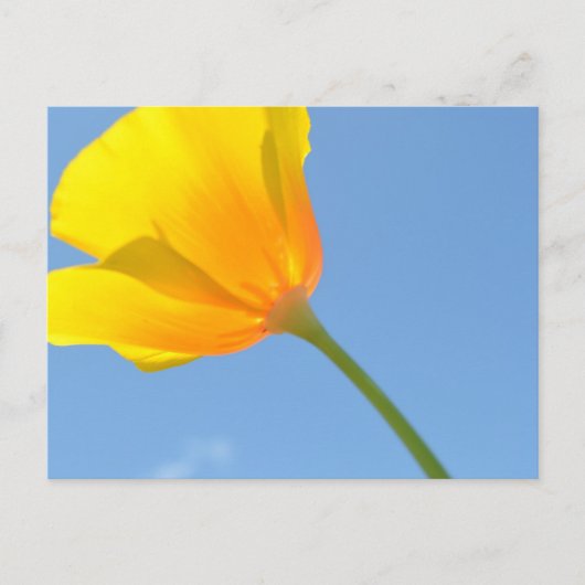 引力の法則 ポストカード (正面)