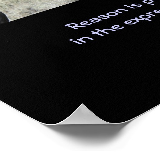 引用文と2つの茶色の野生の馬のニューブリング ポスター (角)