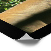 引用文やる気を起こさせるライオン心中の勇気 ポスター (角)