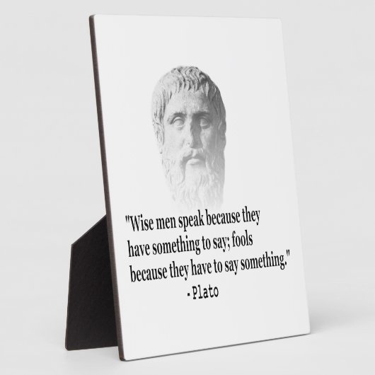 引用文バイプラトン フォトプラーク (側面)