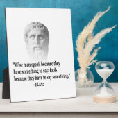 引用文バイプラトン フォトプラーク (側面)