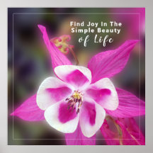 引用文付きオダマキ（植物）花写真