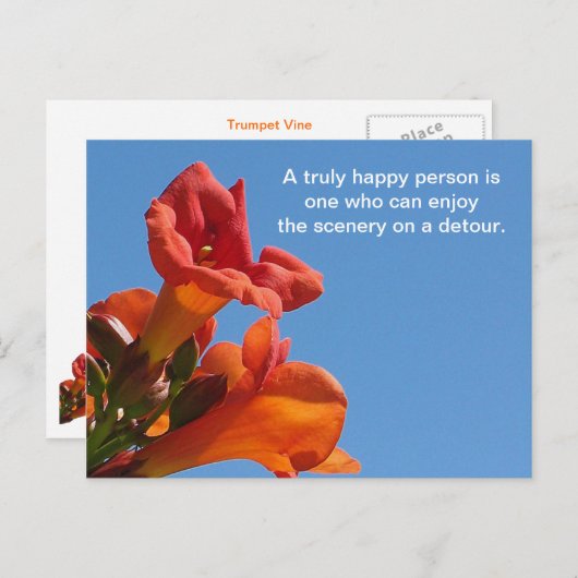引用文付きトランペットつる植物葉書 ポストカード (正面/裏面)