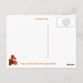 引用文付きトランペットつる植物葉書 ポストカード (裏面)