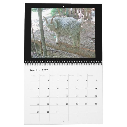 引用文付きヤギのカレン感動的ダー カレンダー (3月 2026)