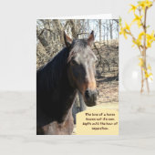 引用文付き馬の同情カード カード (黄色い花)