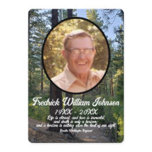 引用文写真松の木の森の背景メモリアル