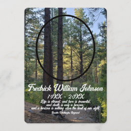 引用文写真松の木の森の背景メモリアル プログラム