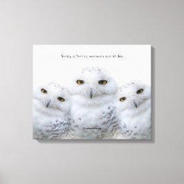 引用文感動的の夢のようなウィズオブスノーフール キャンバスプリント