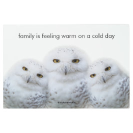 引用文感動的の夢のようなウィズオブスノーフール メタルプリント