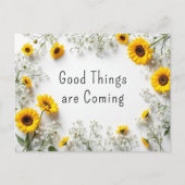 引用文感動的イエローホワイトヒマワリ ポストカード (正面)