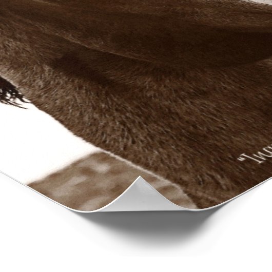 引用文11x14の馬のアート感動的ポスター ポスター (角)