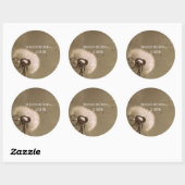 引用文:彼女信じはそうすることができた ラウンドシール (シート)