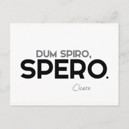 引用文: Cicero: Dum spiro, spero ポストカード