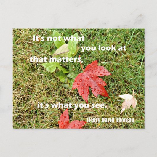 引用文byThoreau：それは見ているものではない ポストカード (正面)