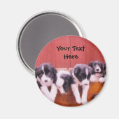 引縁どき出し磁石内のコリー子犬 マグネット (正面/裏面)