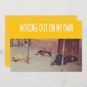 引越しのお知らせ (通りでの男と犬たち) 案内状 (正面/裏面)