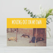 引越しのお知らせ (通りでの男と犬) 案内状 (スタンド正面)