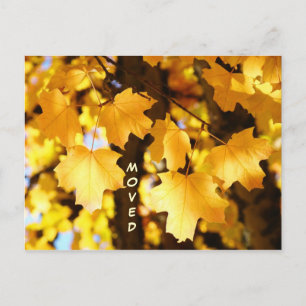引越しはがきカスタムの引越し新しい住所の秋 案内ポストカード