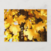 引越しはがきカスタムの引越し新しい住所の秋 案内ポストカード (正面)