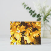 引越しはがきカスタムの引越し新しい住所の秋 案内ポストカード (スタンド正面)