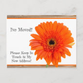 引越しました!オレンジダイシーと木製ポストカード 案内ポストカード (正面)