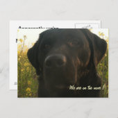 引越し中 案内ポストカード (正面/裏面)