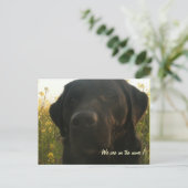 引越し中 案内ポストカード (スタンド正面)