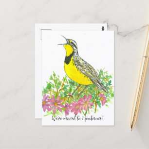 引越し告知Montana Meadowlark Bitterroot ポストカード