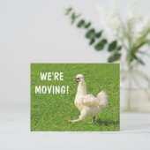 引越し案内チキンポストカード ポストカード (スタンド正面)