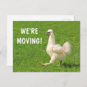 引越し案内チキンポストカード ポストカード (正面/裏面)