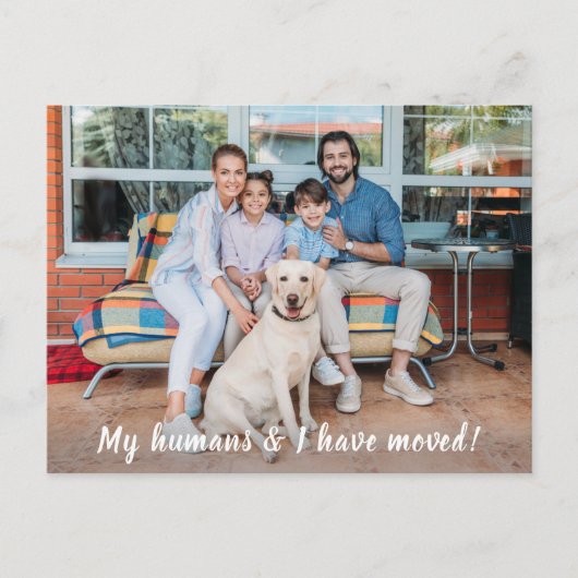 引越し発表犬のパーソナライズされたペット写真 案内ポストカード (正面)