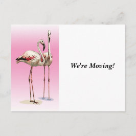 引越 – 引越し先 – はがき 案内ポストカード