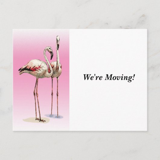 引越 – 引越し先 – はがき 案内ポストカード (正面)