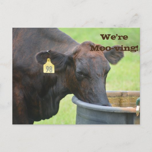 引越/新規住所のお知らせ 案内ポストカード (正面)