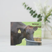 引越/新規住所のお知らせ 案内ポストカード (スタンド正面)