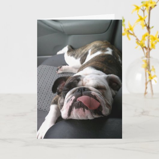 引退が容易に… カード (黄色い花)