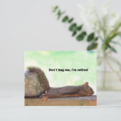 引退したユーモアのリス ポストカード (スタンド正面)