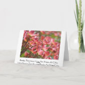 引退して生きていくなんて、最高だ!カードの回収 案内状 (裏面)