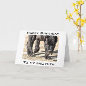 弟にしよ祝う誕生日 カード (黄色い花)