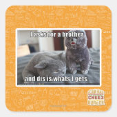 弟頼を欲す スクエアシール (正面)