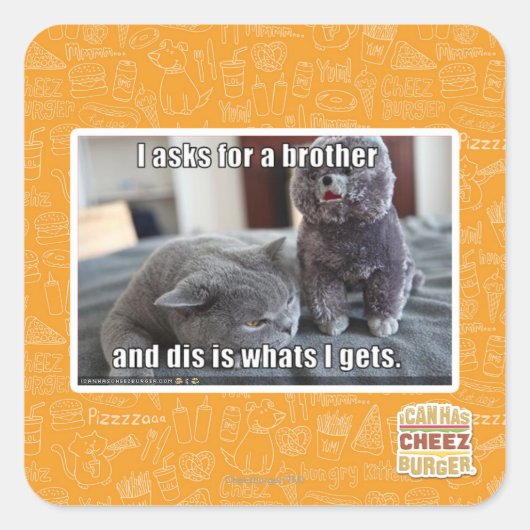 弟頼を欲す スクエアシール (正面)