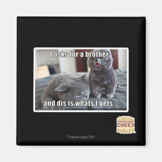 弟頼を欲す マグネット (正面)