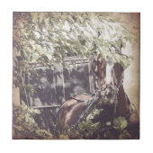 弱々しい待ち馬 タイル (正面)