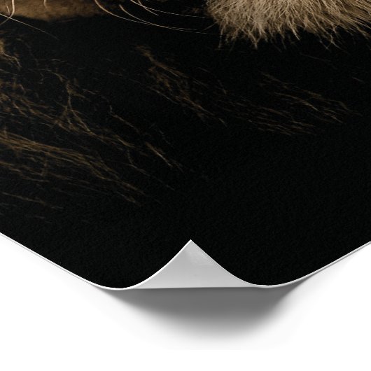 弱いGet食べ – リオン – ハッスル ポスター (角)